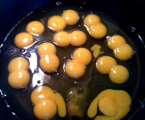 odds of double yolk egg|Found: A Carton of a Dozen Eggs, All With Double Yolks.